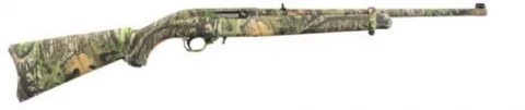 Ruger 10/22 Carbine 1291