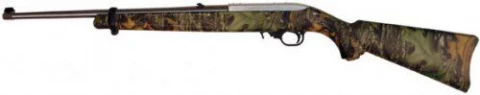 Ruger 10/22 Carbine 1290