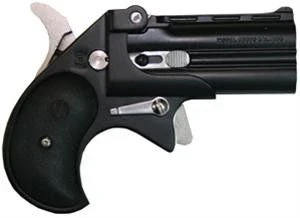 Cobra Big Bore Derringer CB380BB