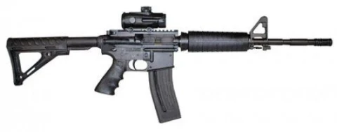 Chiappa Firearms Mfour-22 M4-22LRCARRD