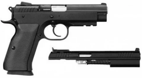 EAA Tanfoglio Witness Combo