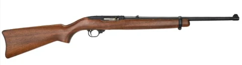Ruger 10/22