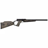 Browning Buck Mark Target 021044202